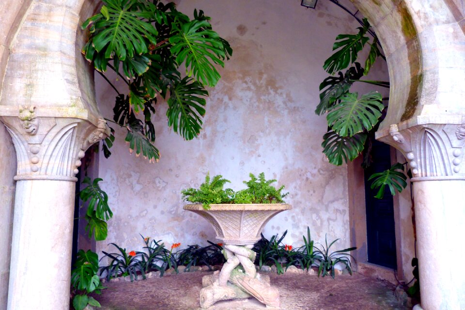 Plant stone table columnar