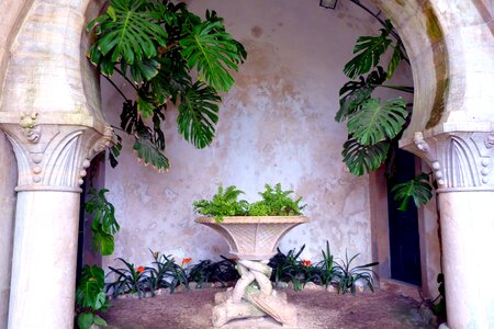 Plant stone table columnar