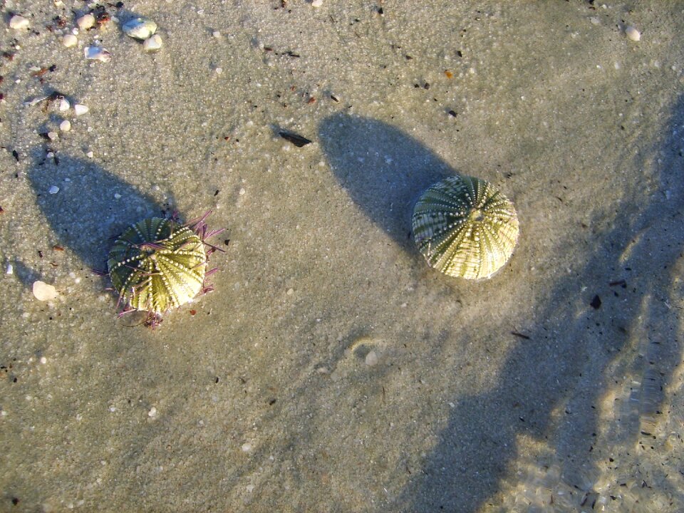 Nature ocean water