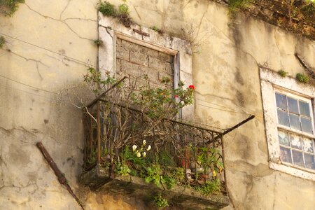 Decay building window