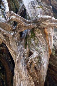 Structure texture background