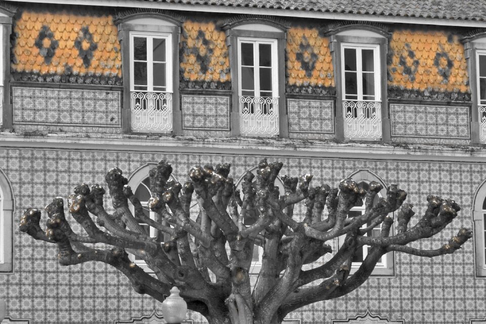 House ornament window