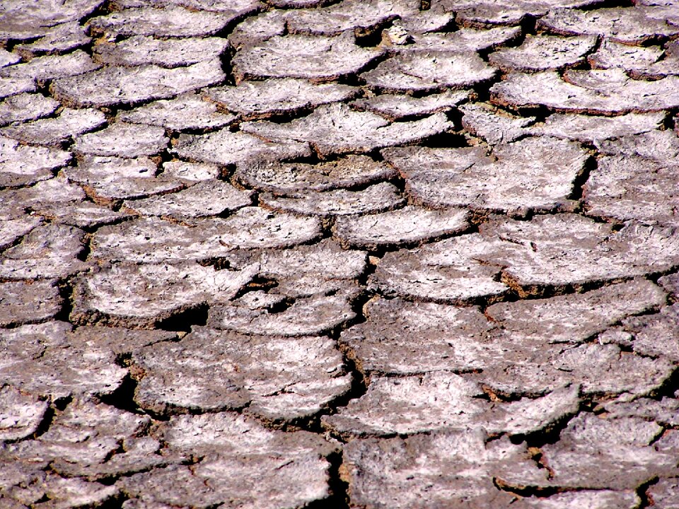 Saline the ground cracked drought