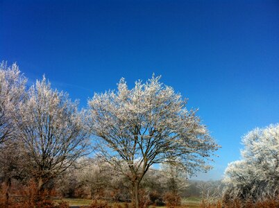 Sun blue sky