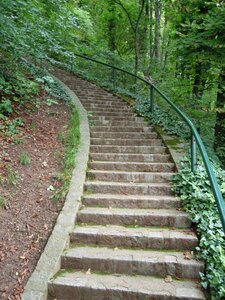 Hiking walk green