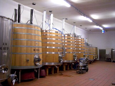 Wine cellar wine barrels