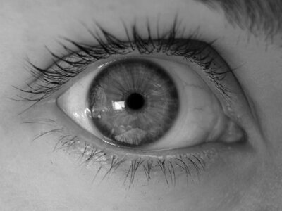 Eye pupil eyelash