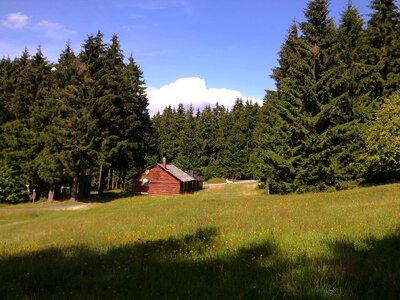 Log cabin forest trees photo