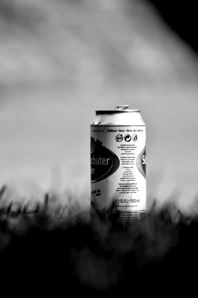 Grass black and white photography solitude
