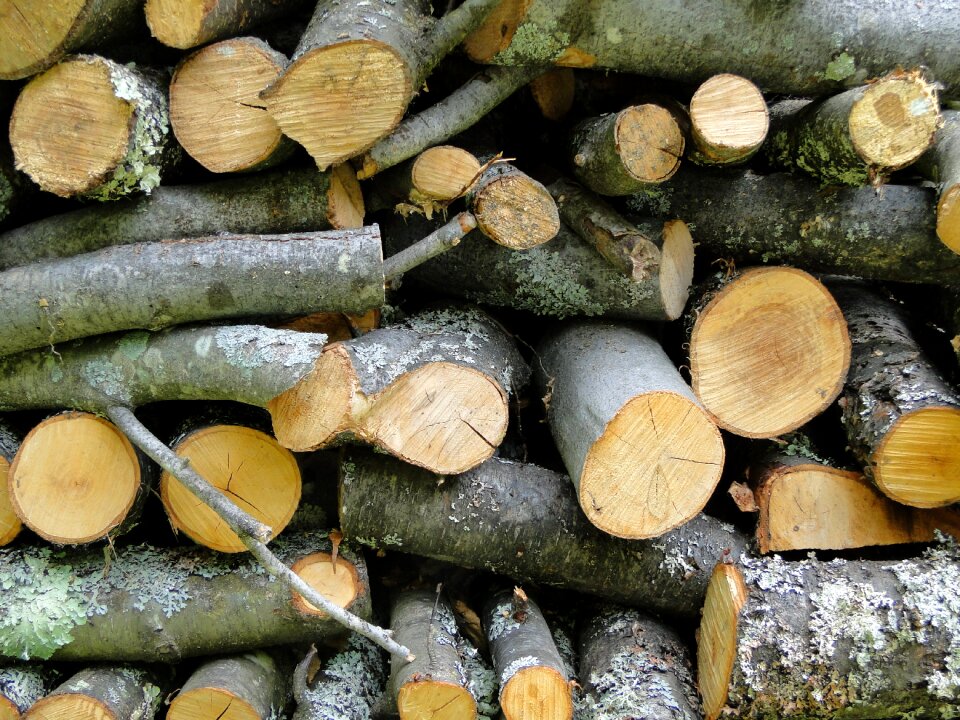 Firewood stack stacked
