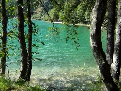 Clear water bergsee