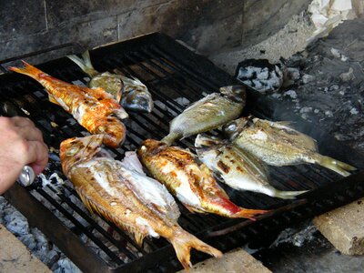 Delicious healthy fresh