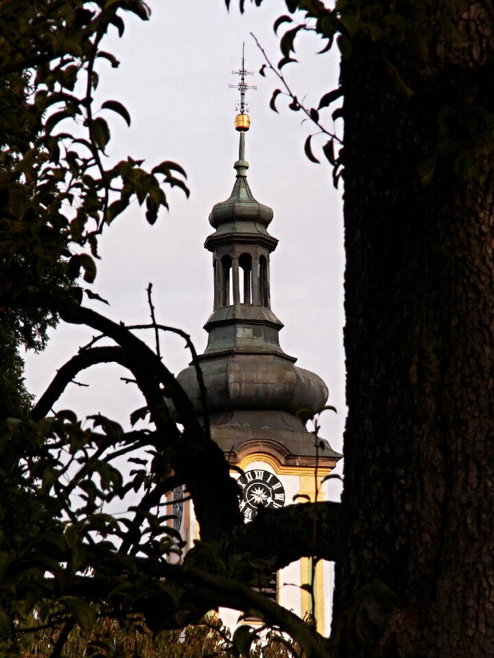Architecture borovany trunk