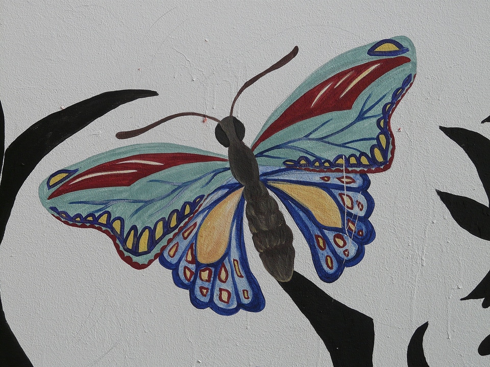 Painting mural drawing