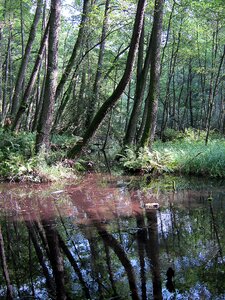 Nature conservation water mecklenburg