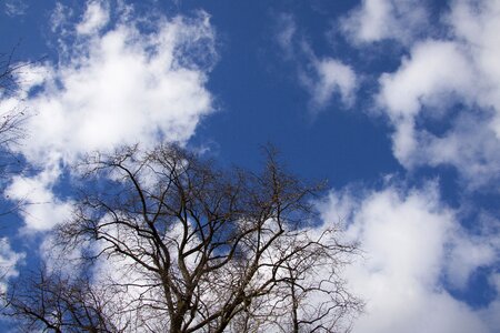 Blue silhouette april photo
