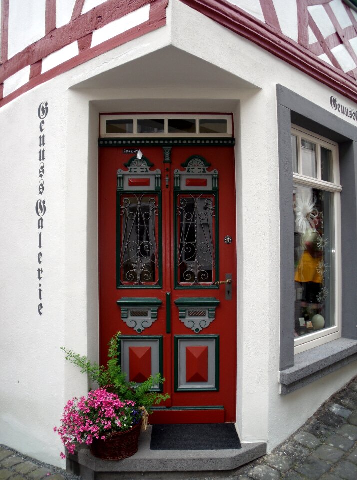 Door painting front door