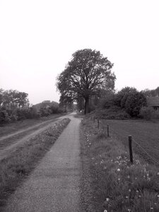 Graze achterhoek holland