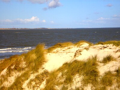 Sea dunes north sea