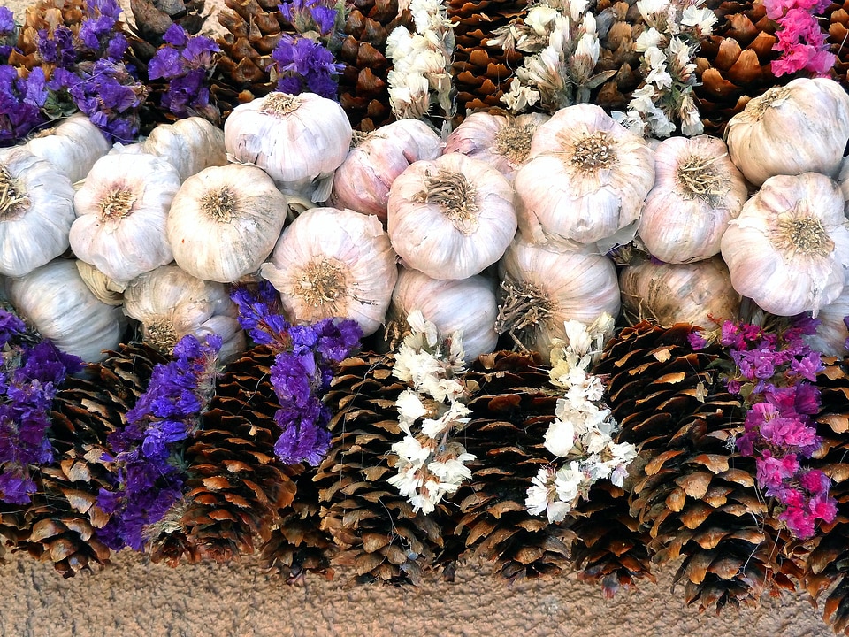 Healthy aroma vegetables