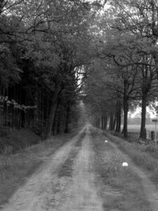 Holland winteswijk netherlands