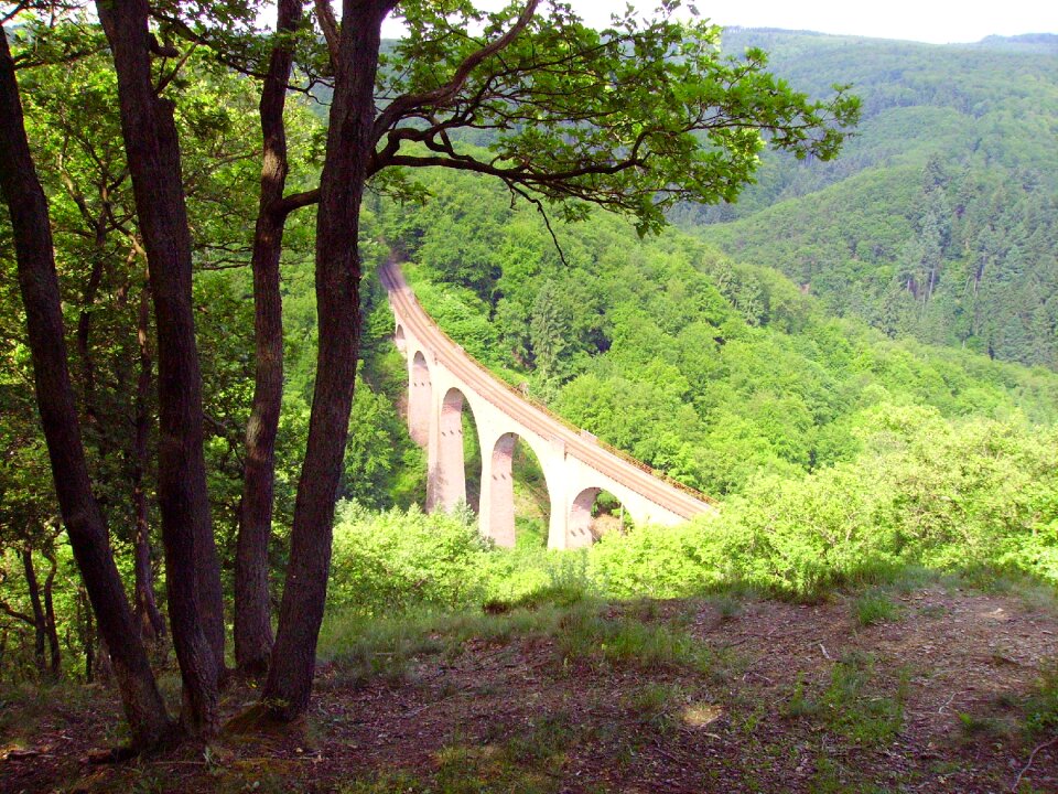 Viaduct railway bridge middle rhine