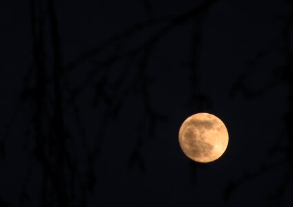 Night darkness dusk