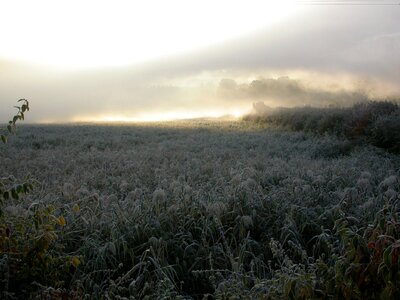 Morning mist winter mood frost photo