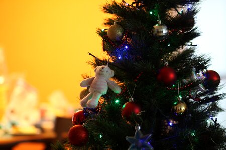 Christmas tree bear photo