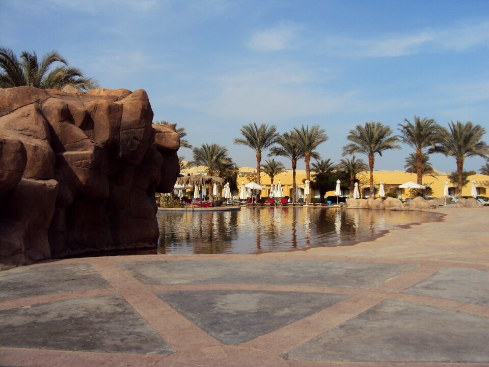 Swimming pool palm trees holiday