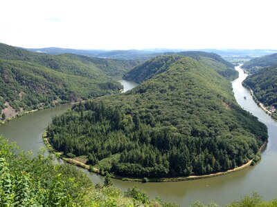 Trees river saar loop