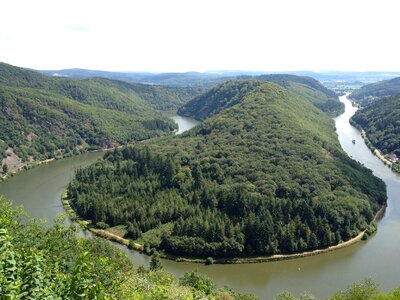 Trees river saar loop photo