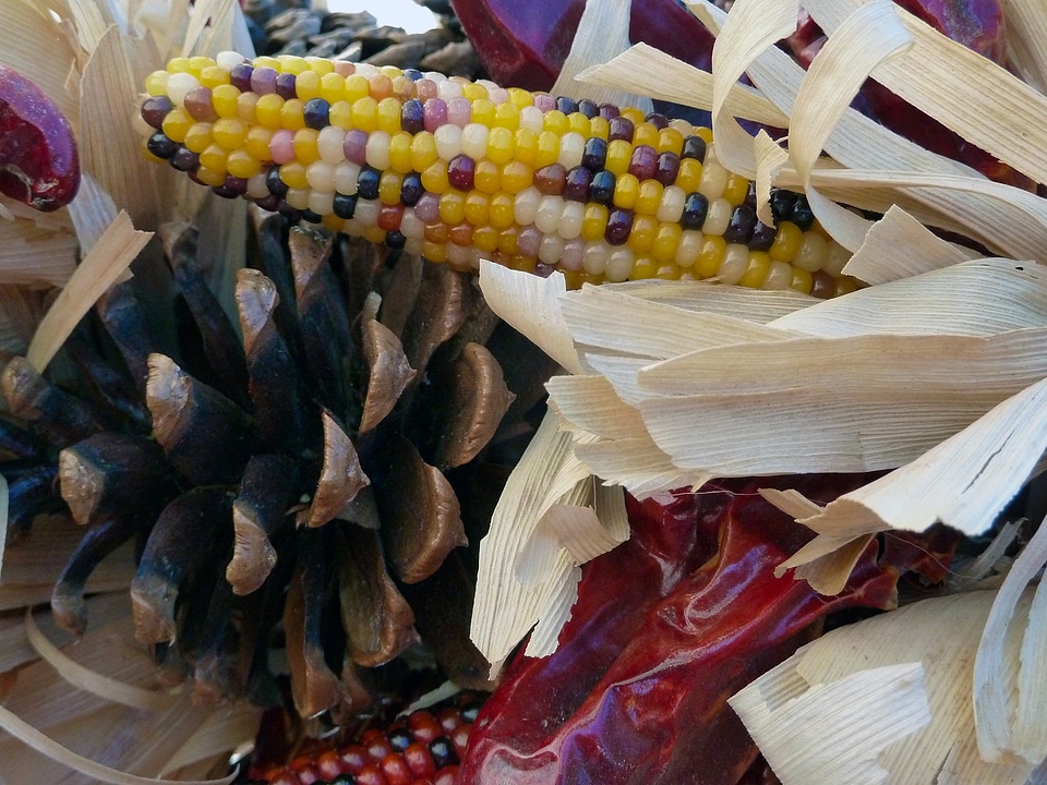 Yellow vegetables dry