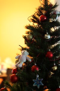 Christmas tree bear