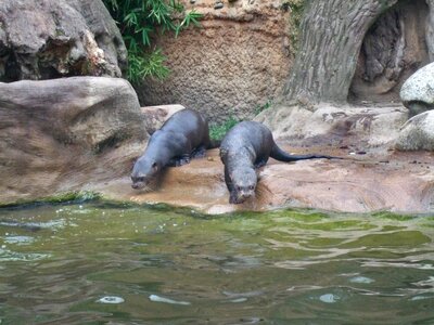 Zoo duisburg water
