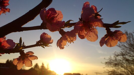 Sunset light sky