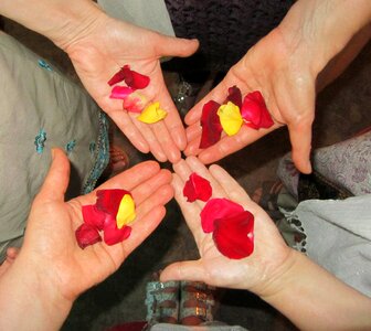 Hands roses sun wheel