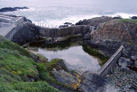 Sea cetárea spring