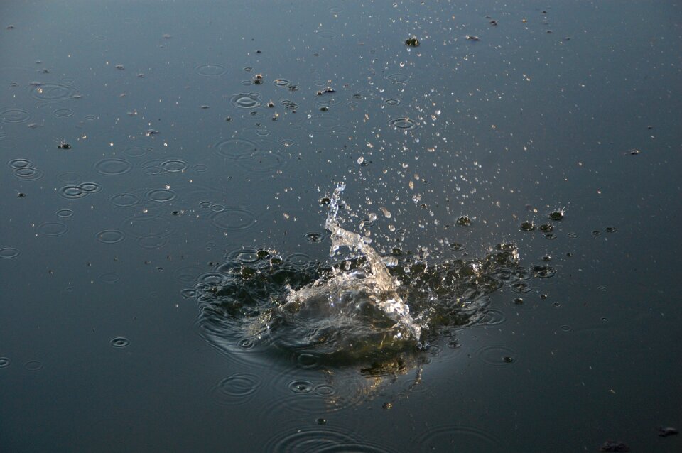 Drops splash movement