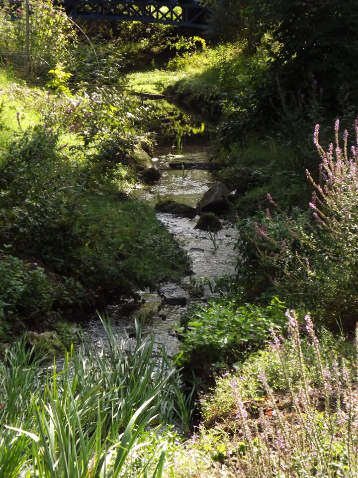 Flow river spring