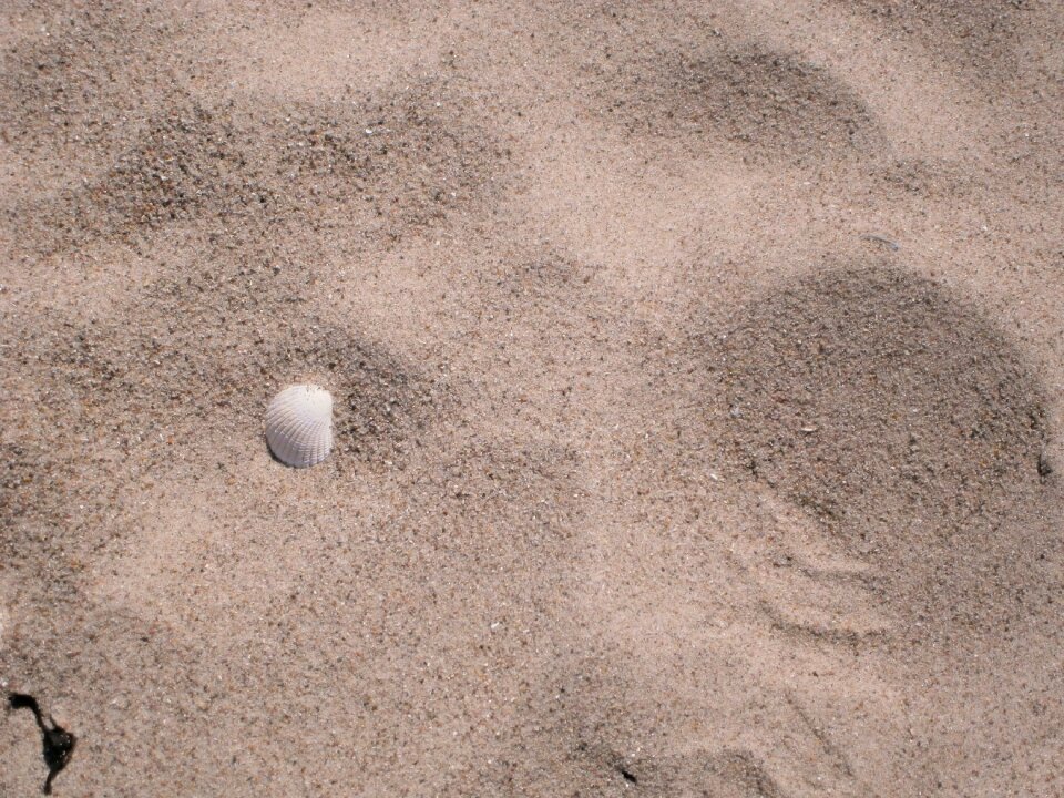 Beach sand vacations