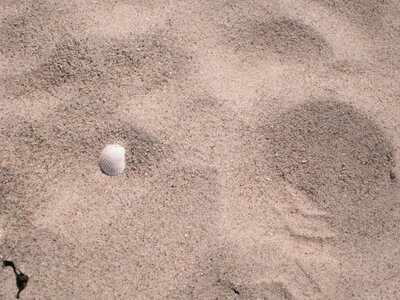Beach sand vacations