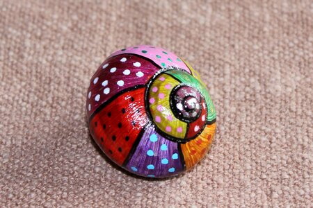 Shell cabaret spiral