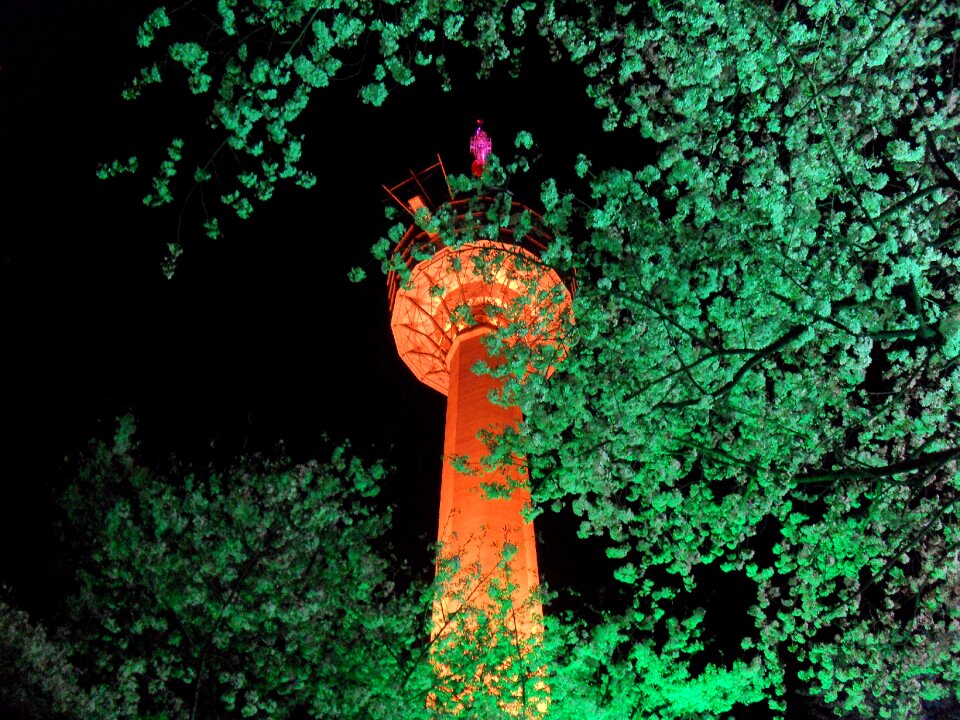 Festival woobang land night view