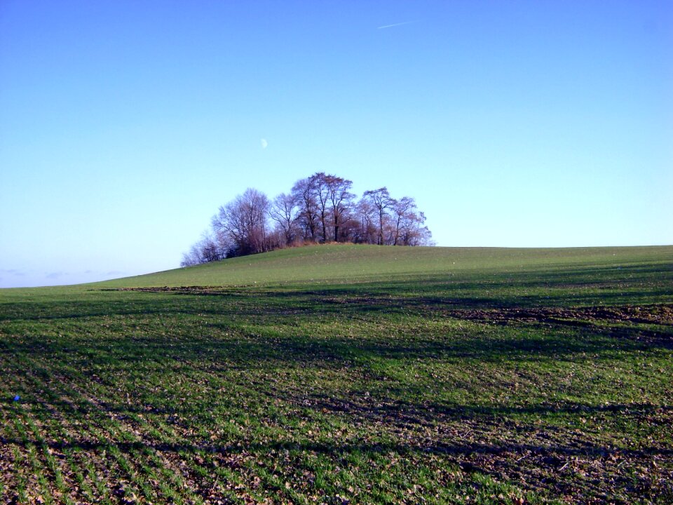 Hill trees sky