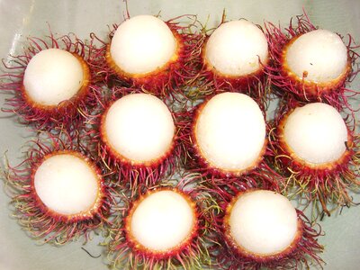 Fruit pointed thailand