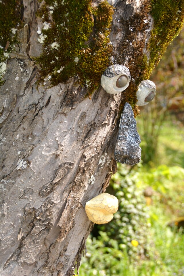 Nature spirit face nature