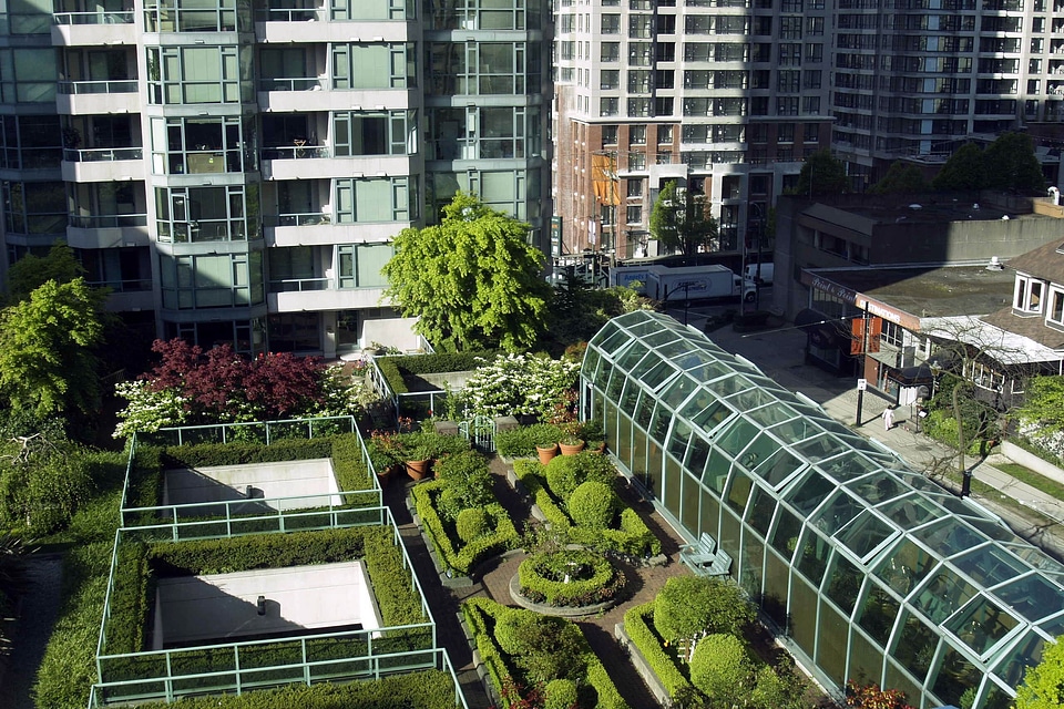 Trees flowers building