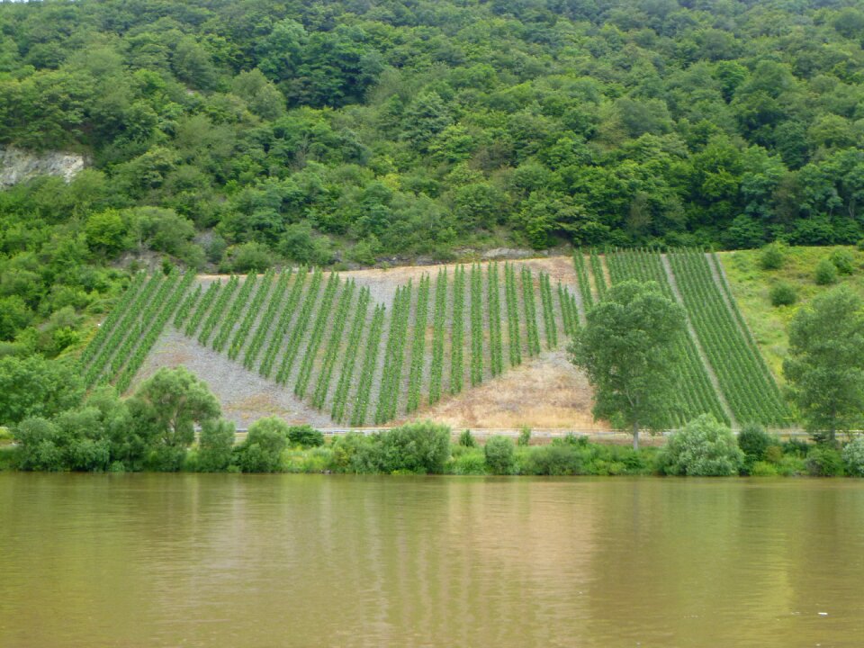 Mosel moselle mountain