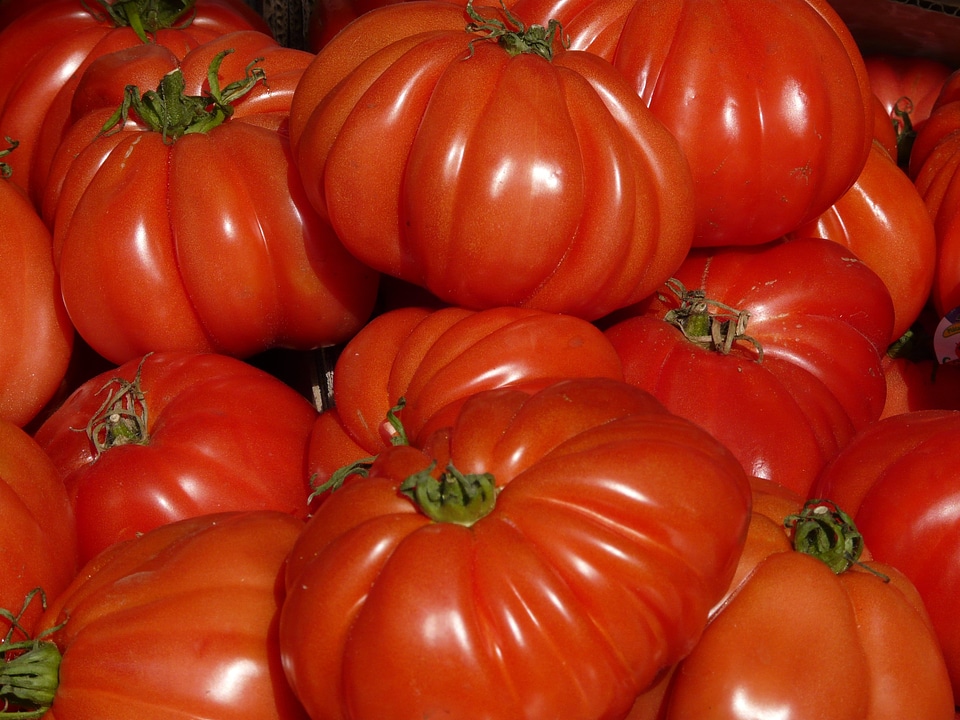 Vegetables eat food